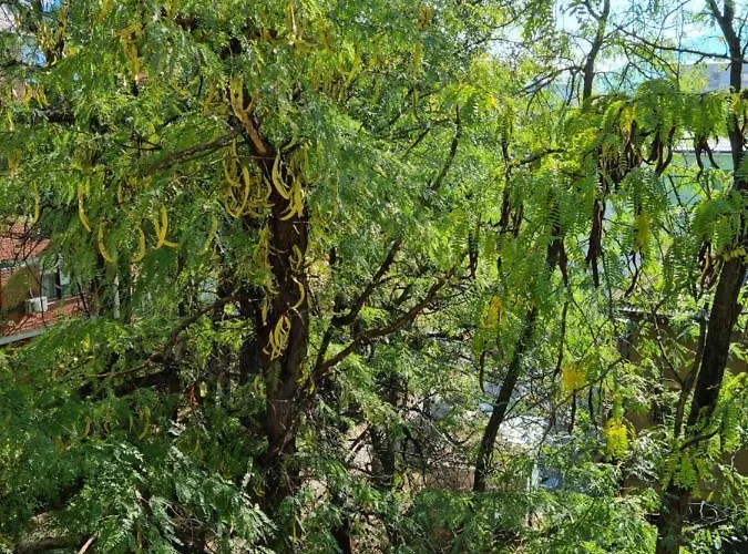 Appartement Lester *